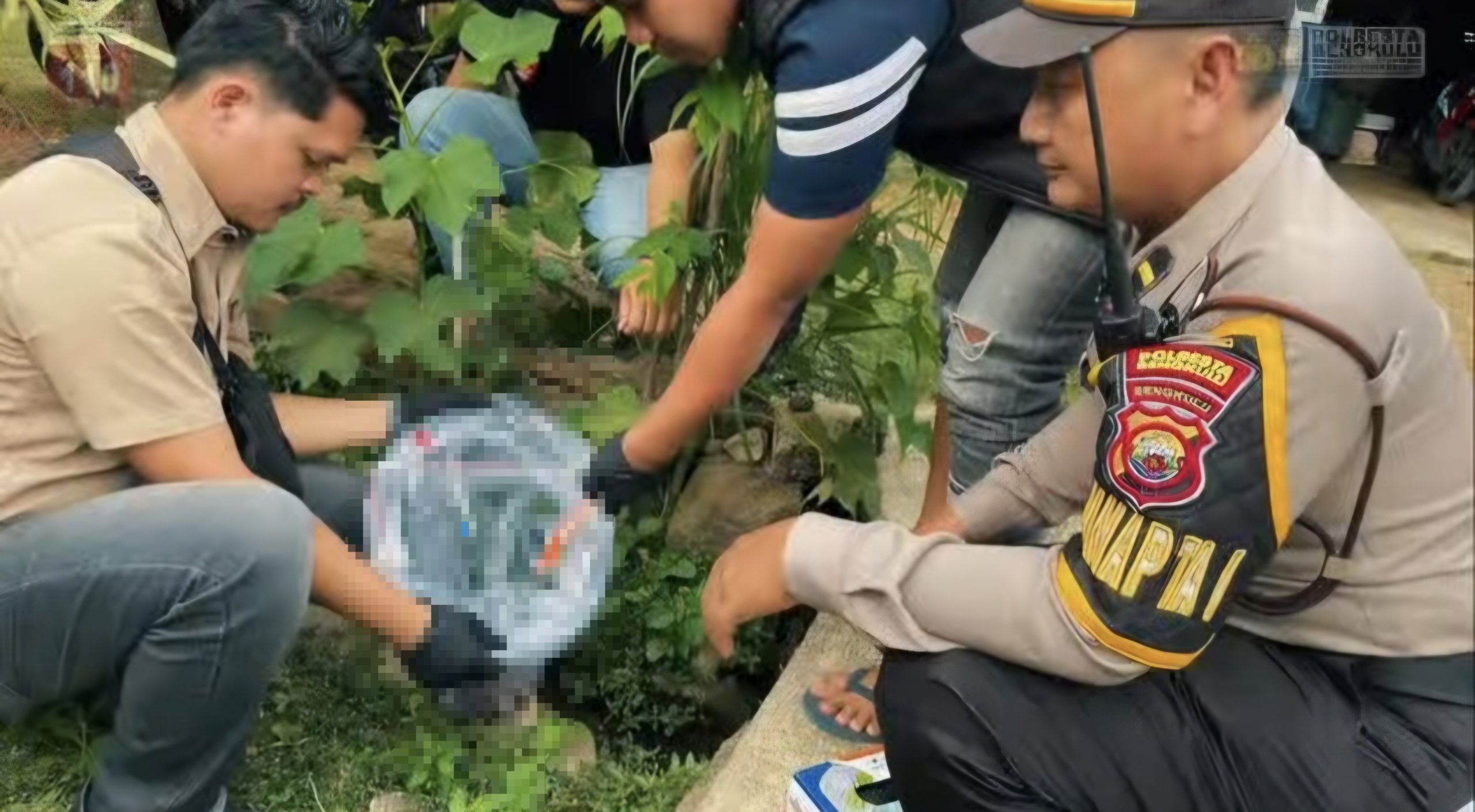 Polresta Bengkulu Terjun Langsung Atas Temuan Mayat Bayi: Kami Buru Pelakunya!